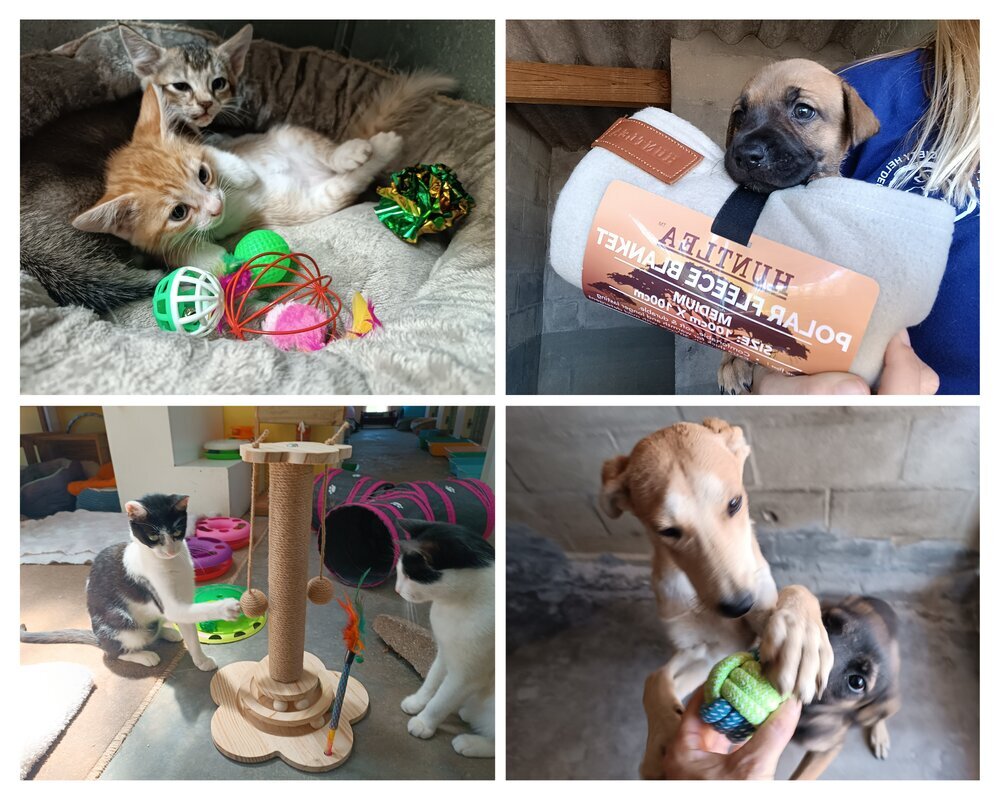Animal Welfare Helderberg Drop Off